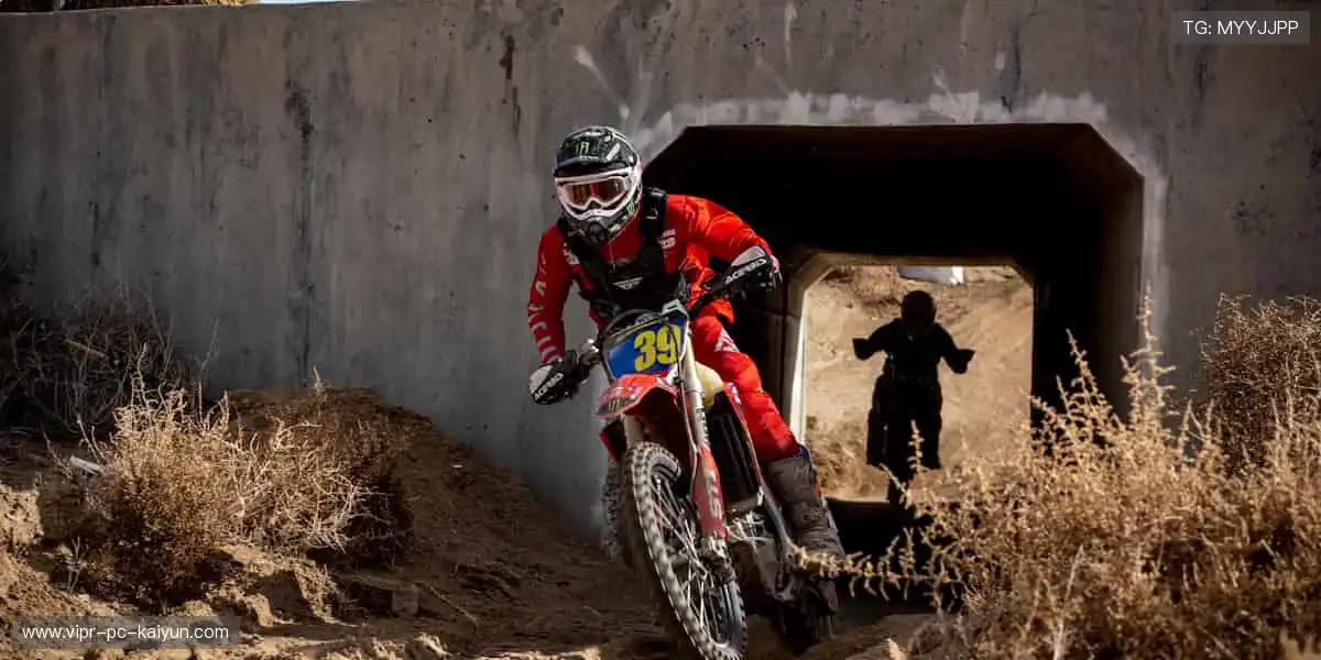 🎁球迷专属,潮流装备一键拥有!👕